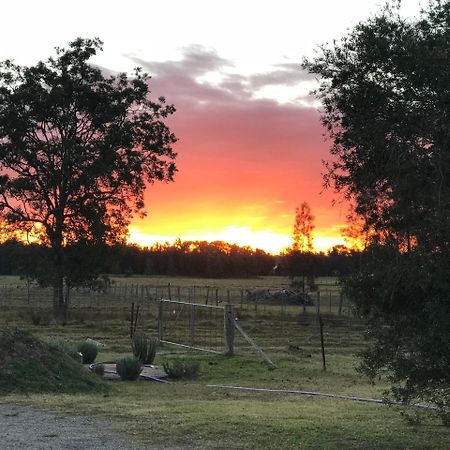Lovedale Red Gum Cottage Exterior photo